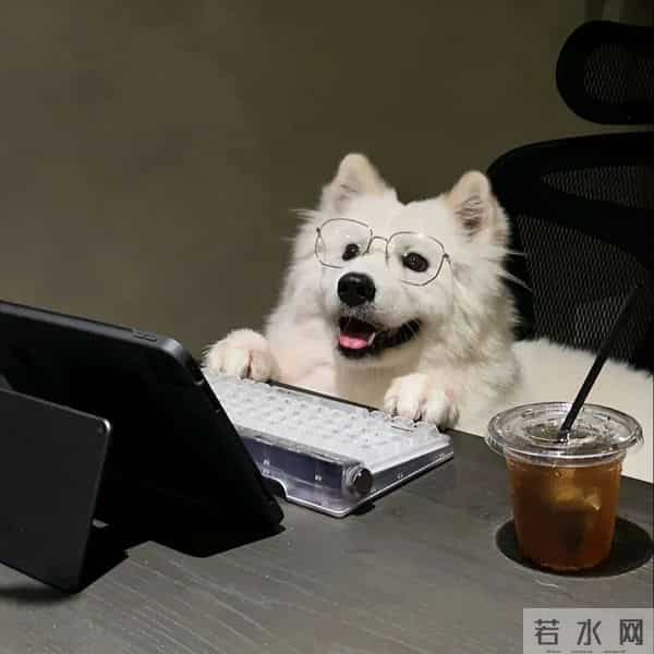 高质量体制内头像