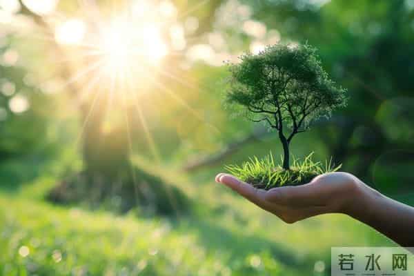 40岁后突然开窍：不跟当官的凑局，才是普通人的体面