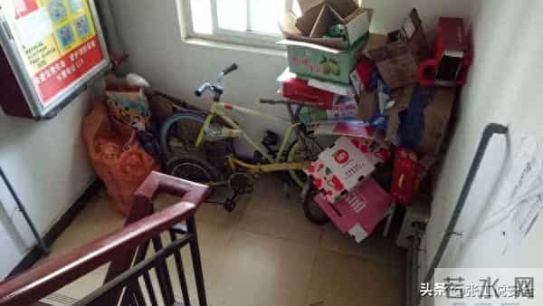 安全管理形式主义之盆景安全