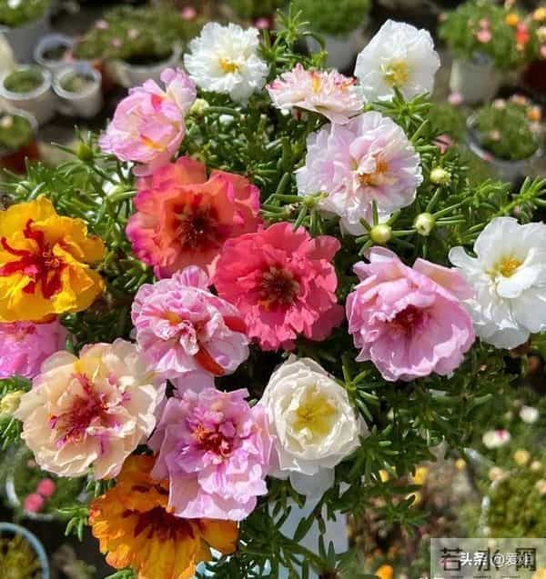 别怀疑，你的大运真的要来了，准备签收吧！