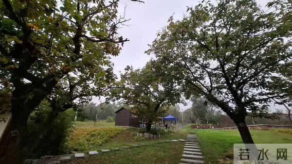 你的过分礼貌，正在暴露你的低情商