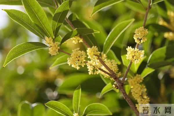 别不信命！混到50岁还一事无成，不是你不努力，是你不懂这3个字