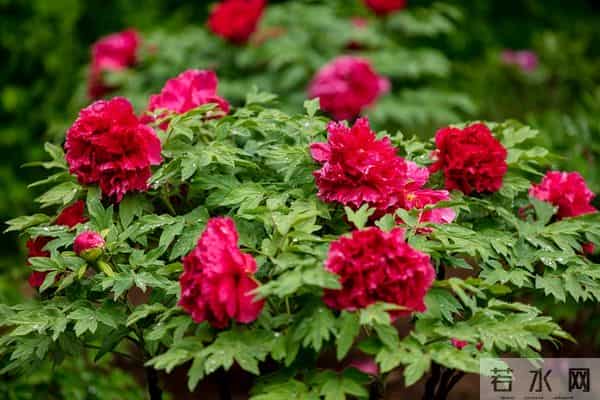 当领导的本事不是天生的，是慢慢练出来的，这些能力领导必练