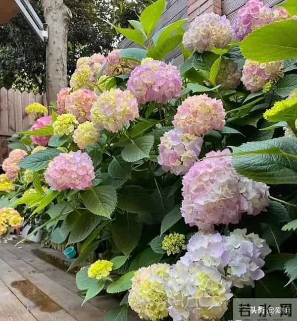 别怀疑，你的大运真的要来了，准备签收吧！