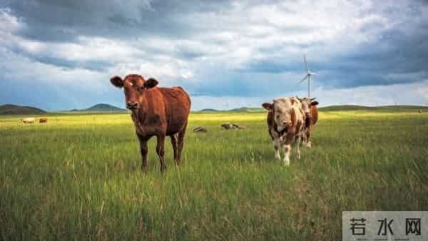 人性最大的愚蠢：在没利益的地方，掏心掏肺