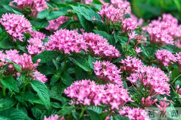 别不信命！混到50岁还一事无成，不是你不努力，是你不懂这3个字