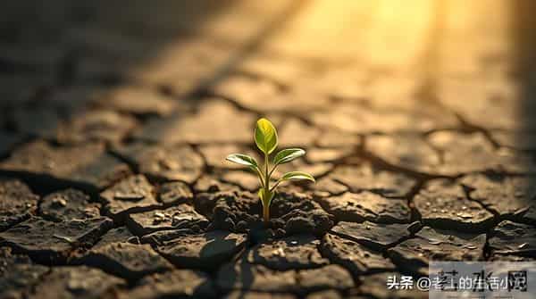 《终身成长》：感觉越来越累，原来不是工作累垮了我，而是 ······