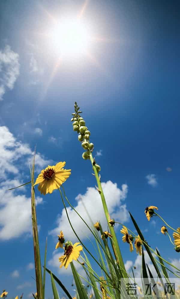 下班后2小时别浪费！这5个“顺手钱”路子，我同事闷声月入3000+