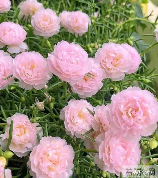 别怀疑，你的大运真的要来了，准备签收吧！