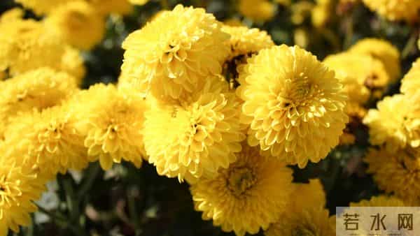 别不信命！混到50岁还一事无成，不是你不努力，是你不懂这3个字