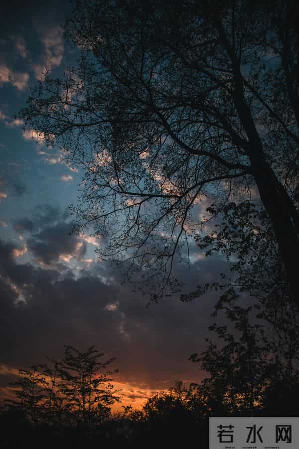 让所有复杂问题变简单 底层逻辑：所有高效努力背后的根本原理