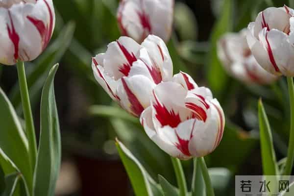 别不信命！混到50岁还一事无成，不是你不努力，是你不懂这3个字