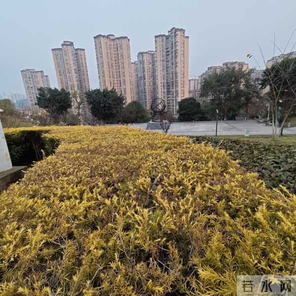 64条歇后语,有趣幽默涨知识!(值得收藏)