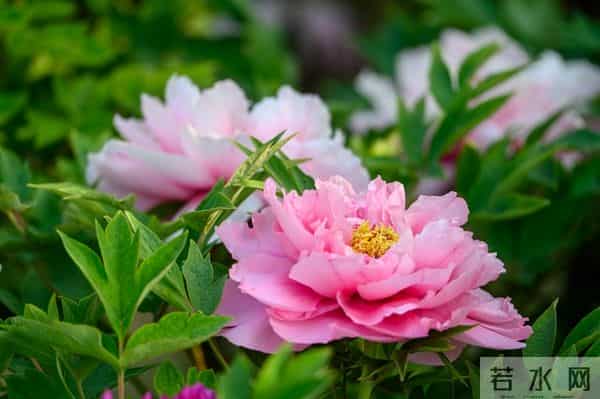 当领导的本事不是天生的，是慢慢练出来的，这些能力领导必练