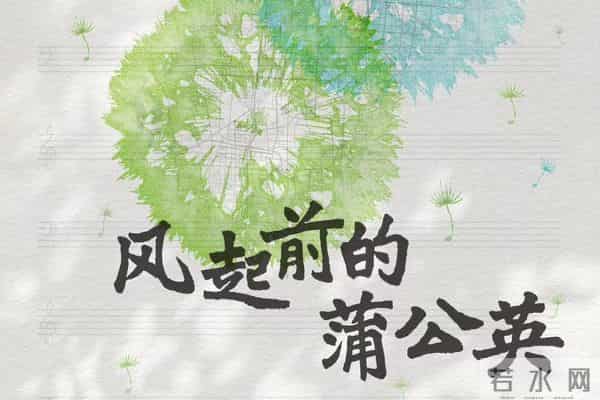 20部豆瓣高分冷门神作，看过5部以上算你影单封神