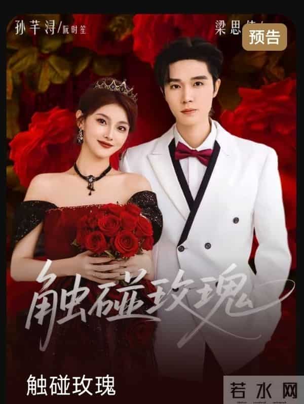 8部爆款短剧来袭!老熟人局凭啥让人疯狂追不停?