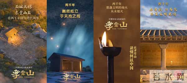 纪录片《孝堂山》丨杨爱国：主题鲜明 价值极高 将引发大众更加关注文化遗产