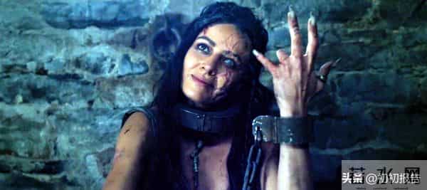 R级爆浆！8.1分《变相怪杰》导演新作，难怪口味这么重呢