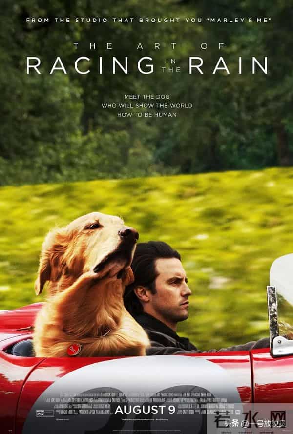 狗狗是人类最好的朋友!9部催泪宠物电影,看完心都化了。