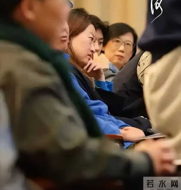 《疯狂动物城2》遇对手！这部无投资影片，凭什么让观众集体破防