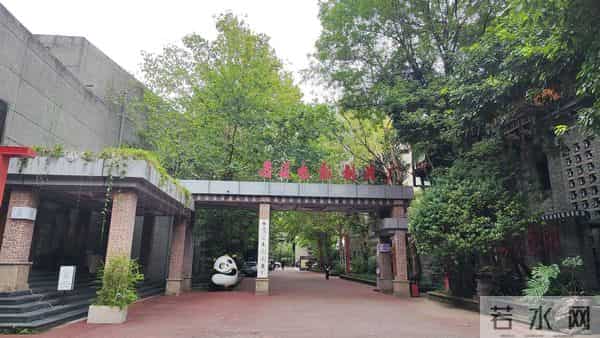 成都青羊：全年多部“爆款”影视佳作获奖！探寻“青羊出品”的流量密码