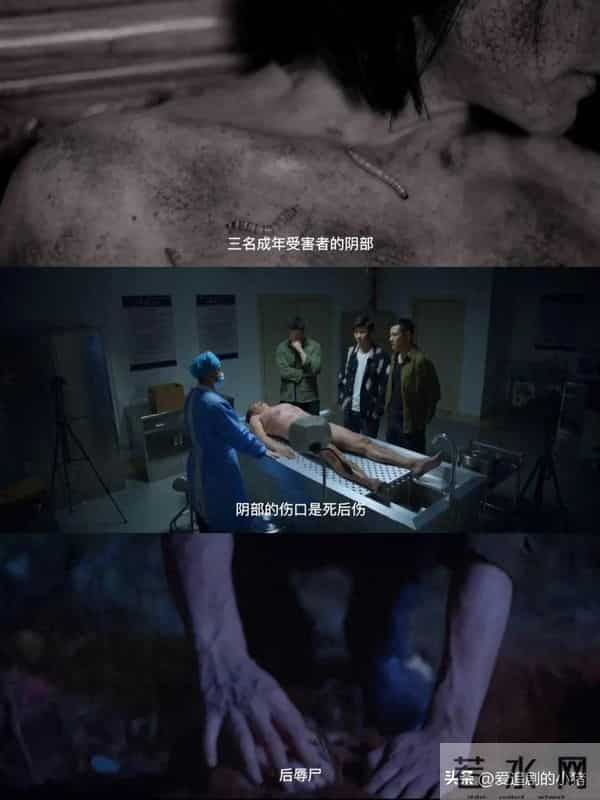 刑侦悬疑剧《无间罪》明日开播！迷雾之下暗藏危机？