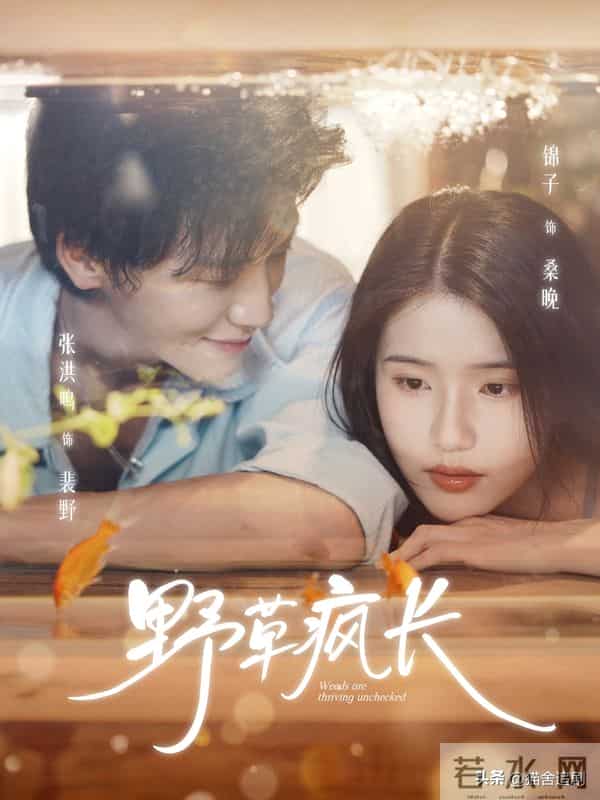 疯狂磕上头！6部姐弟恋短剧！狗姐文学很带感！错过就可惜了