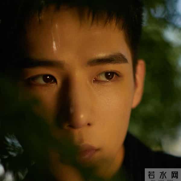 卖力宣传的电影票房惨淡,转头配个音票房20亿,王安宇这下尴尬了