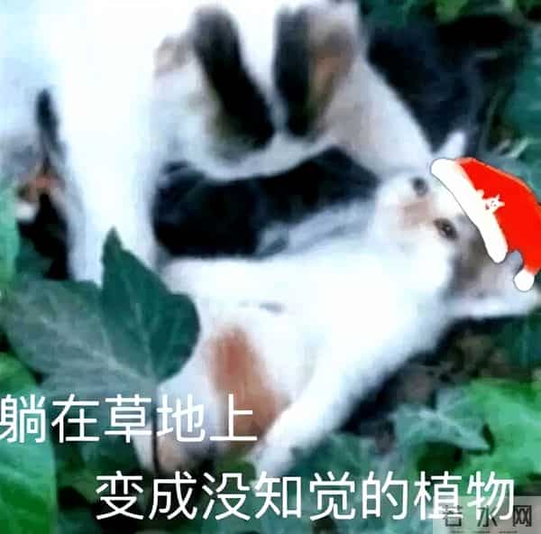 美国人观影《疯狂动物城2》或许会感到恐惧