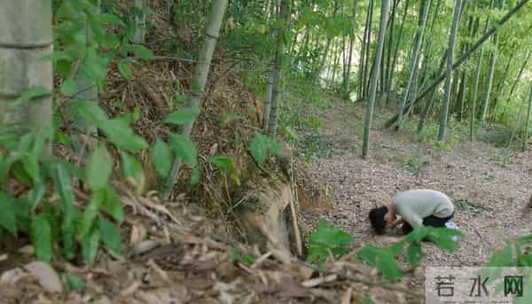 陈晓《大生意人》刚火，前妻的新剧迎来首播，这一次她赌对了！