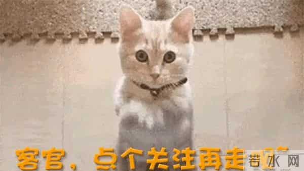 一股子青楼味儿！央8《大生意人》最大败笔，就是扮嫩撒娇的她