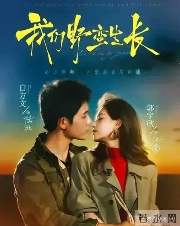 《盛夏芬德拉》后，5部新剧强势来袭！第1部已成短剧巅峰