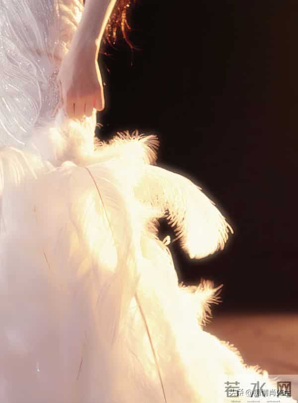 敖瑞鹏不断蜕变,新剧先婚后爱+婚前协议,以银白发演绎“霸总”