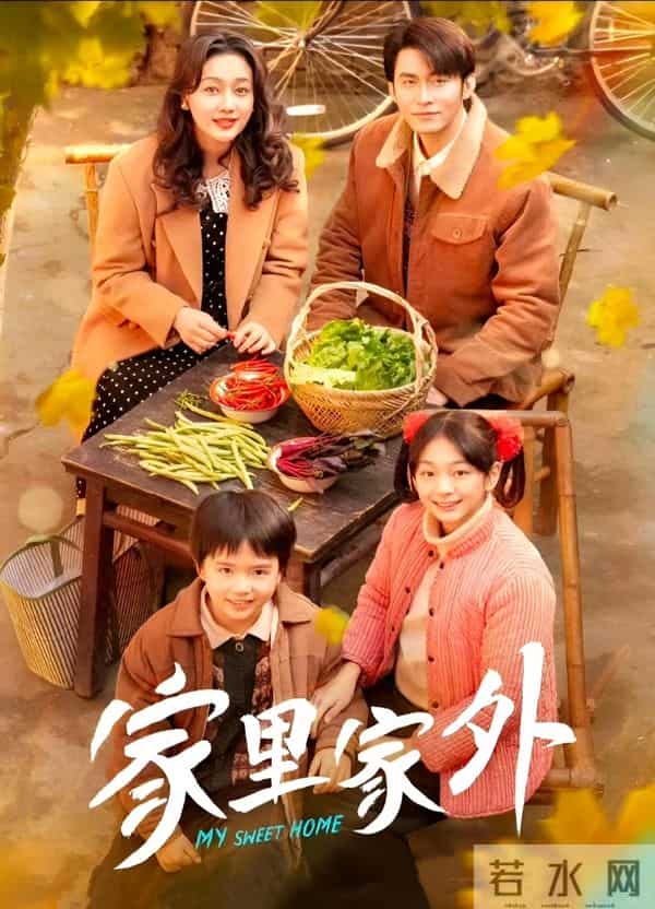 《家里家外2》引爆收视狂潮，这剧的含金量必须为NO.1