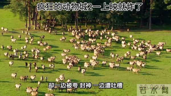 动物城2上影就炸了