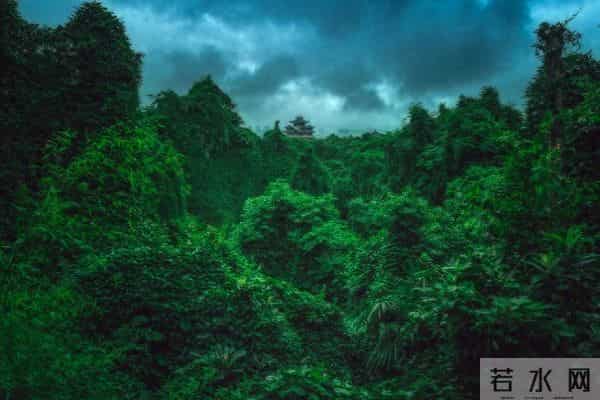 关于《绿野仙踪》电影的7个惊人事实