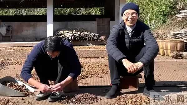 《疯狂动物城2》遇对手！这部无投资影片，凭什么让观众集体破防