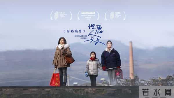 成都青羊：全年多部“爆款”影视佳作获奖！探寻“青羊出品”的流量密码