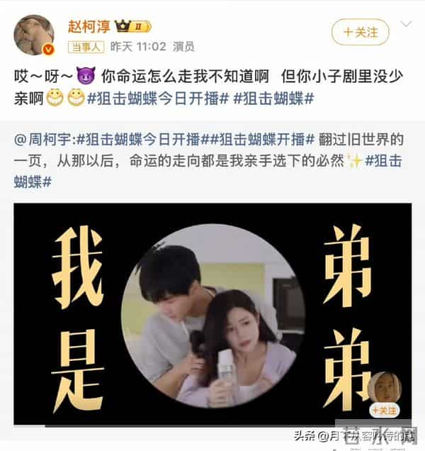 柯淳力挺《狙击蝴蝶》:19岁年龄差爆红,不止甜宠是清醒