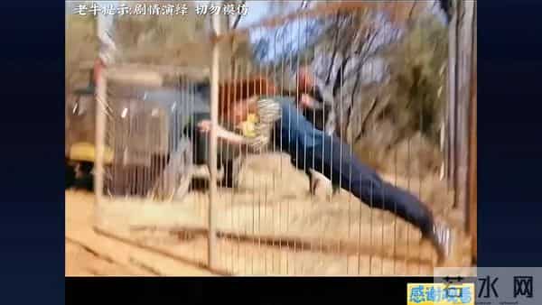 熊孩子大战盗贼，将对手玩弄于股掌之间  