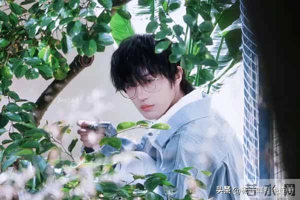 杀疯了侯呈玥张翅《第七日蝉鸣》可预约,郭宇欣搭戏男主竟演配角