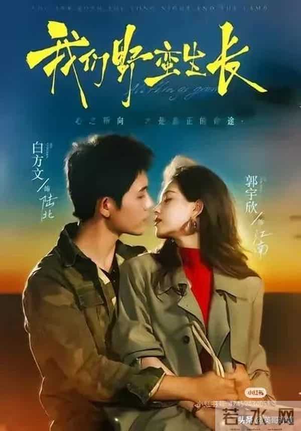 比《盛夏芬德拉》还好看，五部新剧全网好评，第一堪称短剧天花板