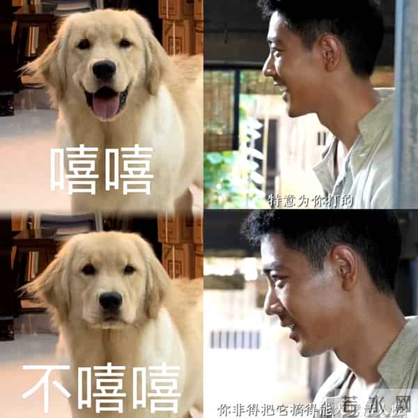 内娱史无前例!肖战新片17家品牌狂包1400场,预售5天破亿太疯了