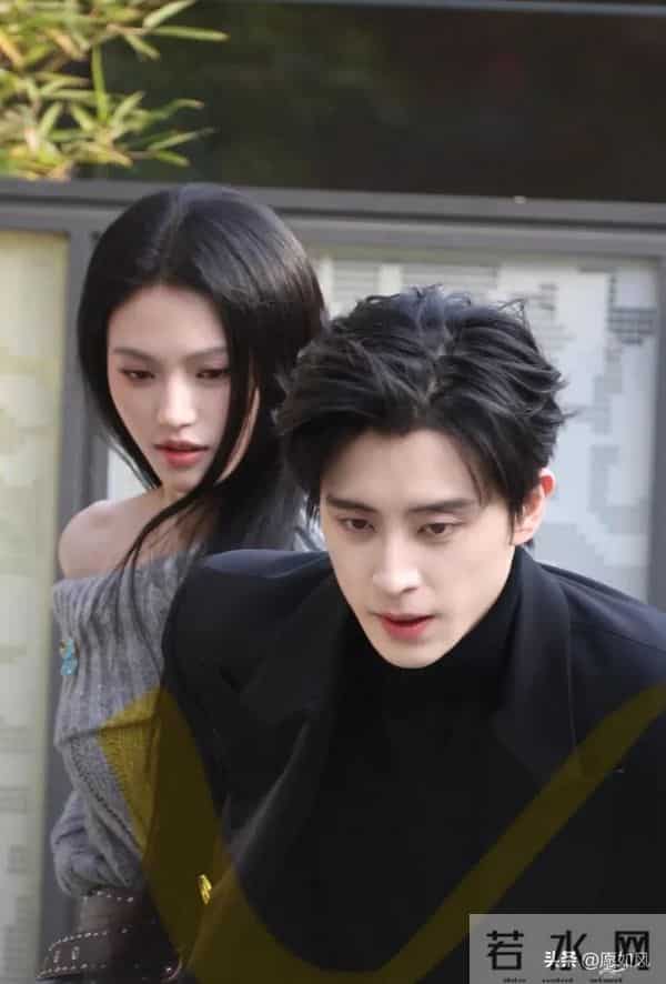 敖瑞鹏很帅,沈羽洁很美,《不二之臣》大事很妙