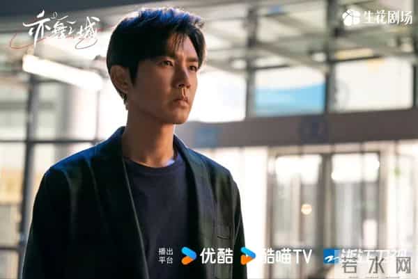 12月4日剧集全网播放量，《枭起青壤》、《大生意人》冲击日冠！