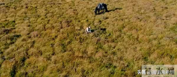 差点被片名错过的史诗级作品！