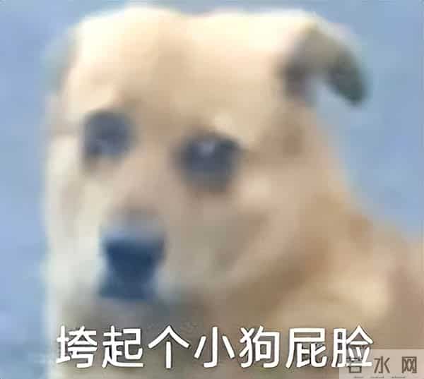 美国人观影《疯狂动物城2》或许会感到恐惧