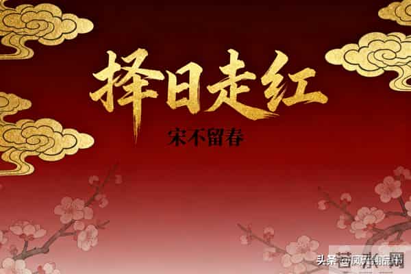 起点八部完本华娱新作：从导演到天仙的逆袭盛宴！