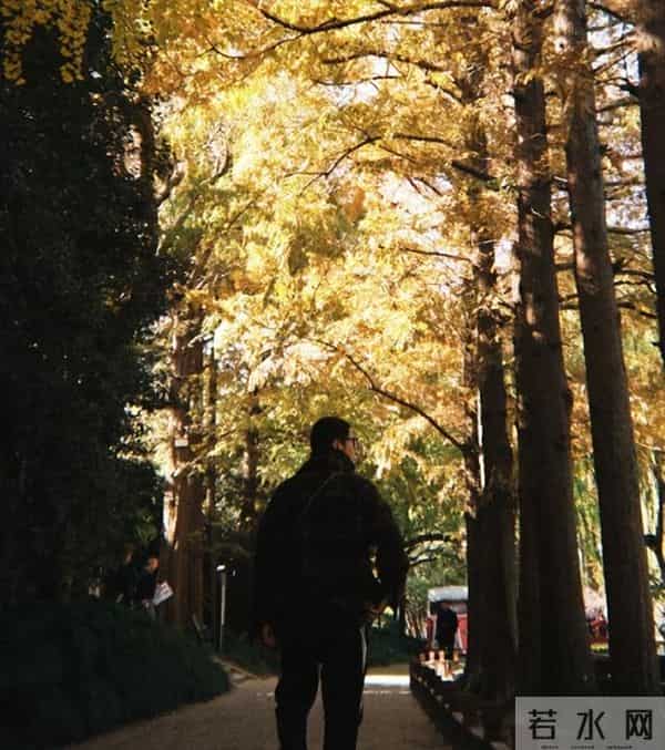 最近，陈坤的动态又一次证明了他的全面发展和不断变革的状态。