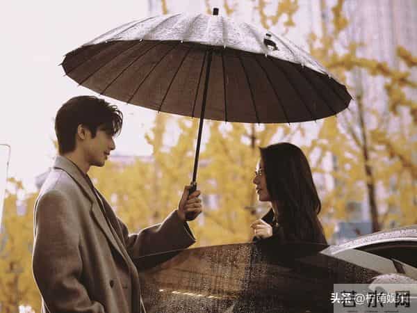 12月新剧杀疯了！10部新剧炸场，部部都有看头！